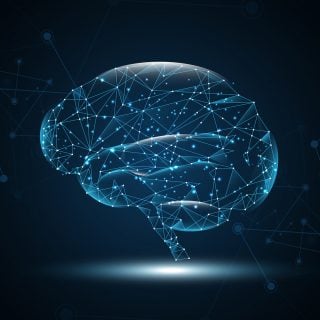 finance AI survey